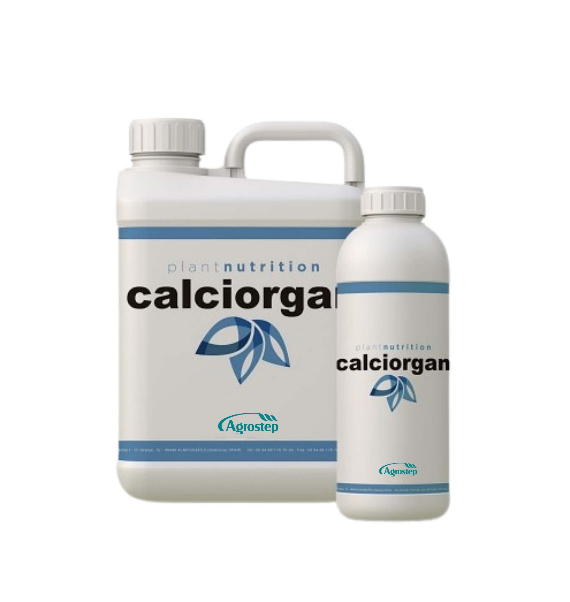 CALCIORGAN