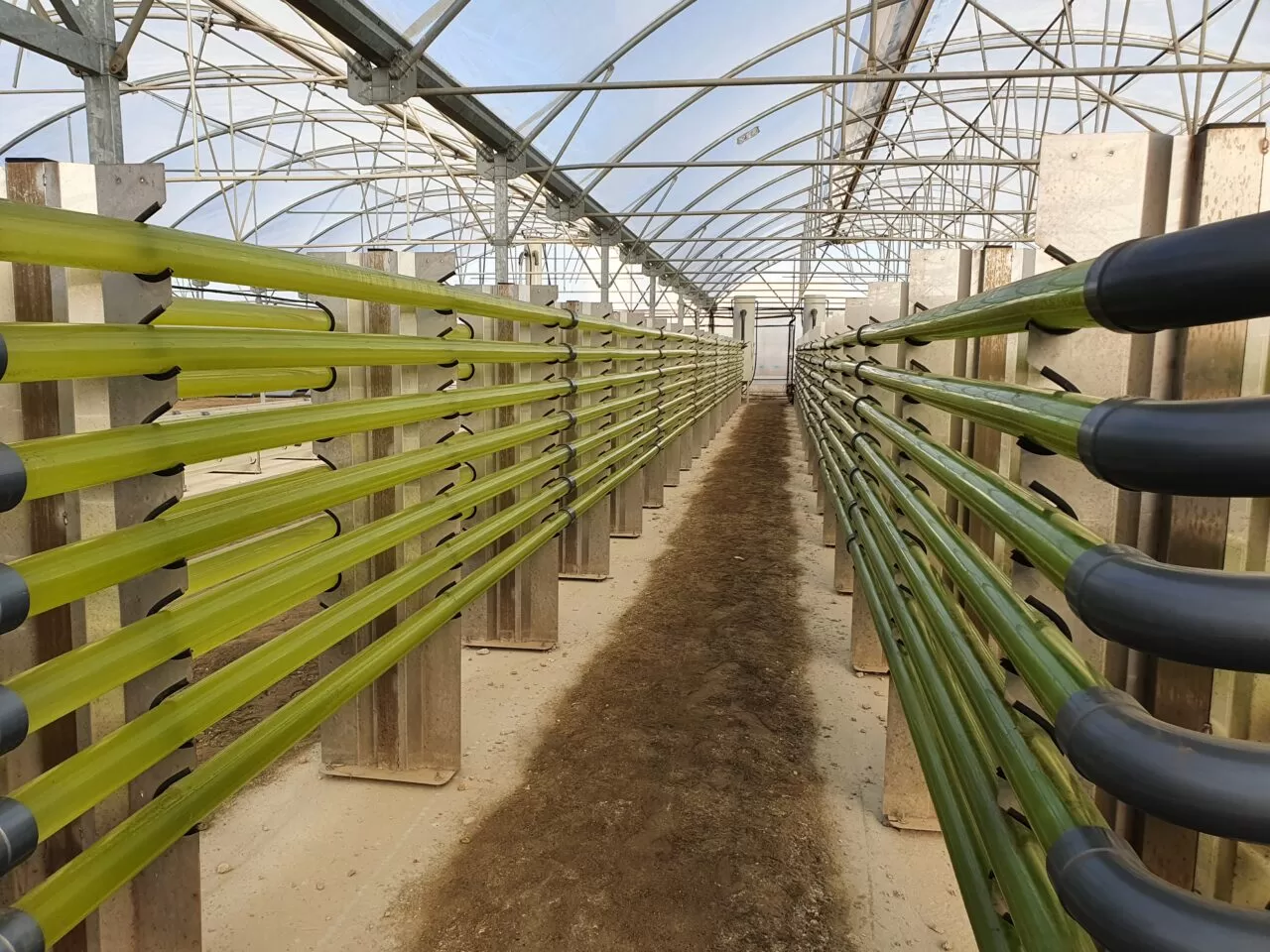 20221124_095847 https://agrostep.gr/wp-content/uploads/2023/03/20221124_095847-1280x960.jpg